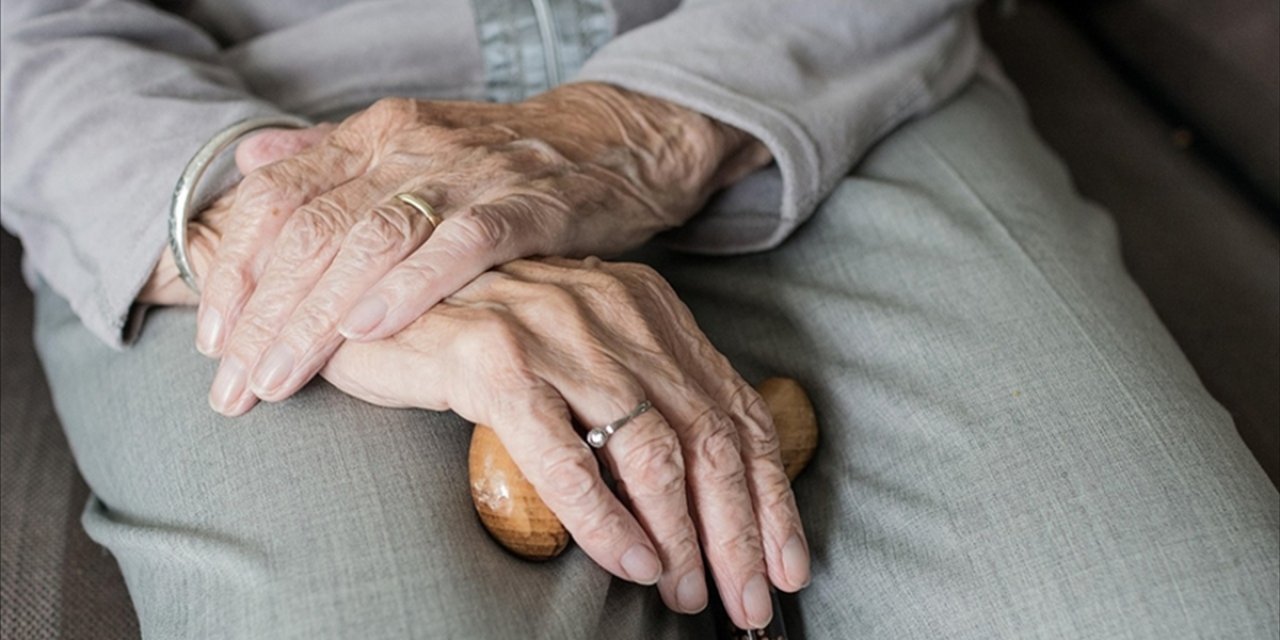 Türkiye'de 100 Yaşına Merdiven Dayayan 244 Bine Yakın "Çınar" Yaşıyor