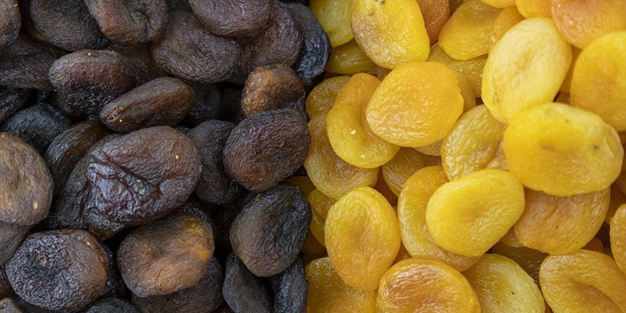 Malatya'da Kuru Kayısı İhracatında Yeni Sezondan Beklenti Yüksek