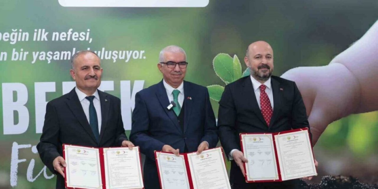 Adana'da Doğan Her Bebek İçin Fidan Dikilecek