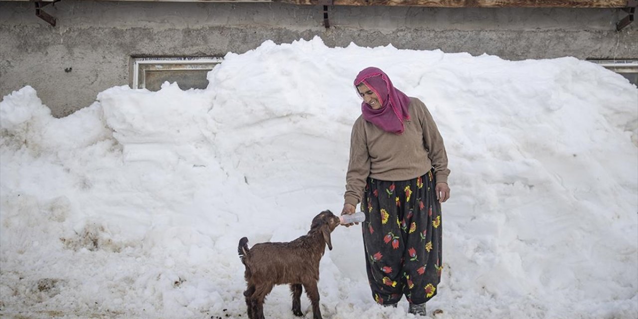 Kar Kalınlığının 2,5 Metreye Ulaştığı Ovacık'ta Besiciler Zorlu Kış Şartlarına Göğüs Geriyor