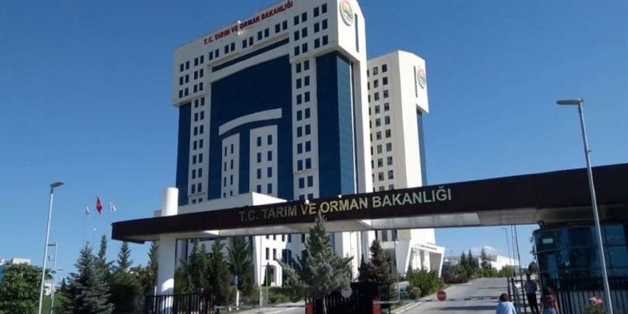 Tarım Ve Orman Bakan Yardımcısı Gizligider, Yağış Sonrası Taşkınlarla İlgili Konuştu: