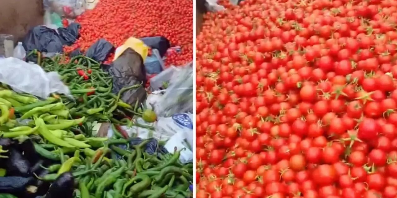 Sapasağlam Sebzeleri Çöpe Attılar