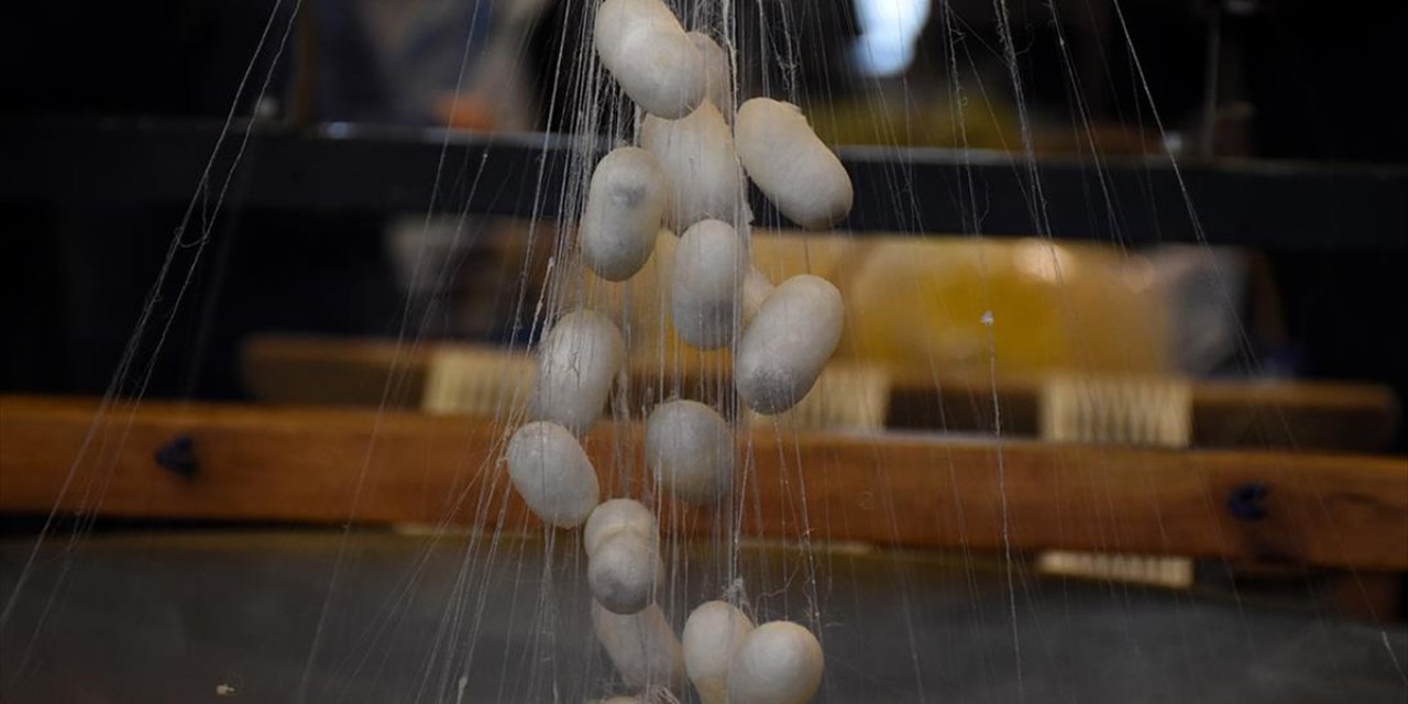 İpekböcekçiliği Sektörü Koza Üretiminde Çıtayı Yükseltti