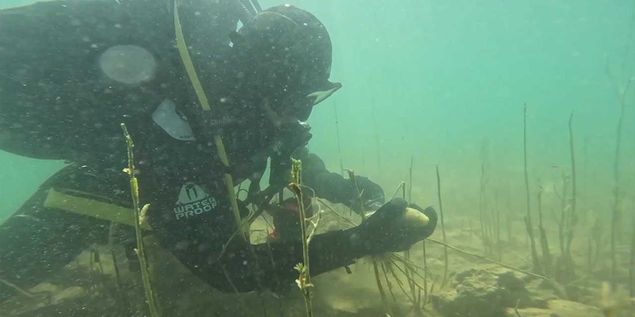 Hayalet Ağlarda Can Çekişen Balıklar, Jandarma Eliyle Hayata Tutunuyor