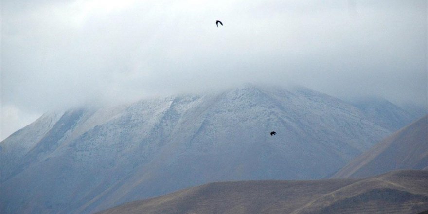 Ağrı'nın Eleşkirt İlçesindeki Kösedağ'a Mevsimin İlk Karı Yağdı