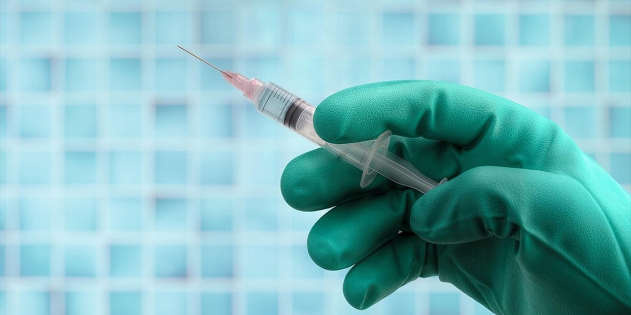 İstanbul'da 2025'te Kuduz Riskli Temas Nedeniyle Yaklaşık 124 Bin Kişi Hastanelere Başvurdu