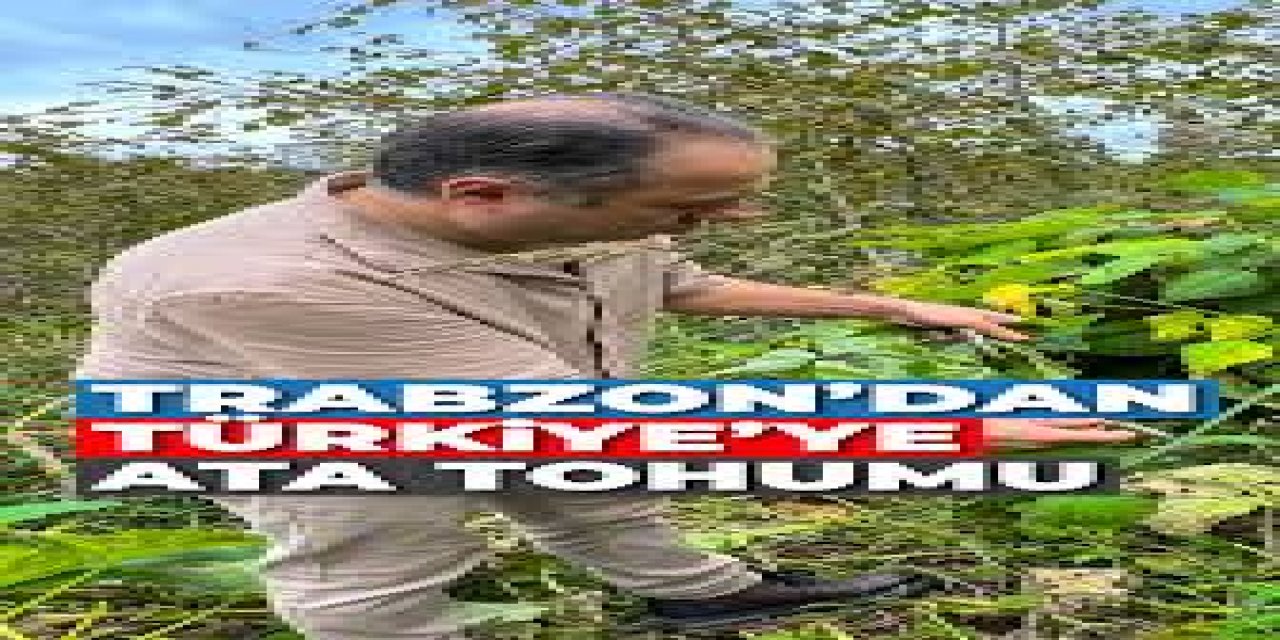 Ata Tohumu Üretimine Tehdit!