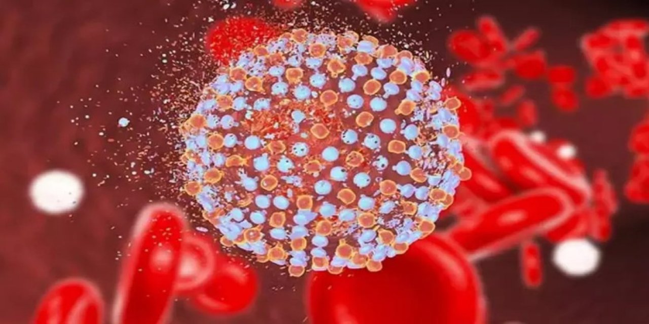 Uzman İsim Uyardı: Kapı Kapı Gezip Hepatit C Bulaştırıyorlar!