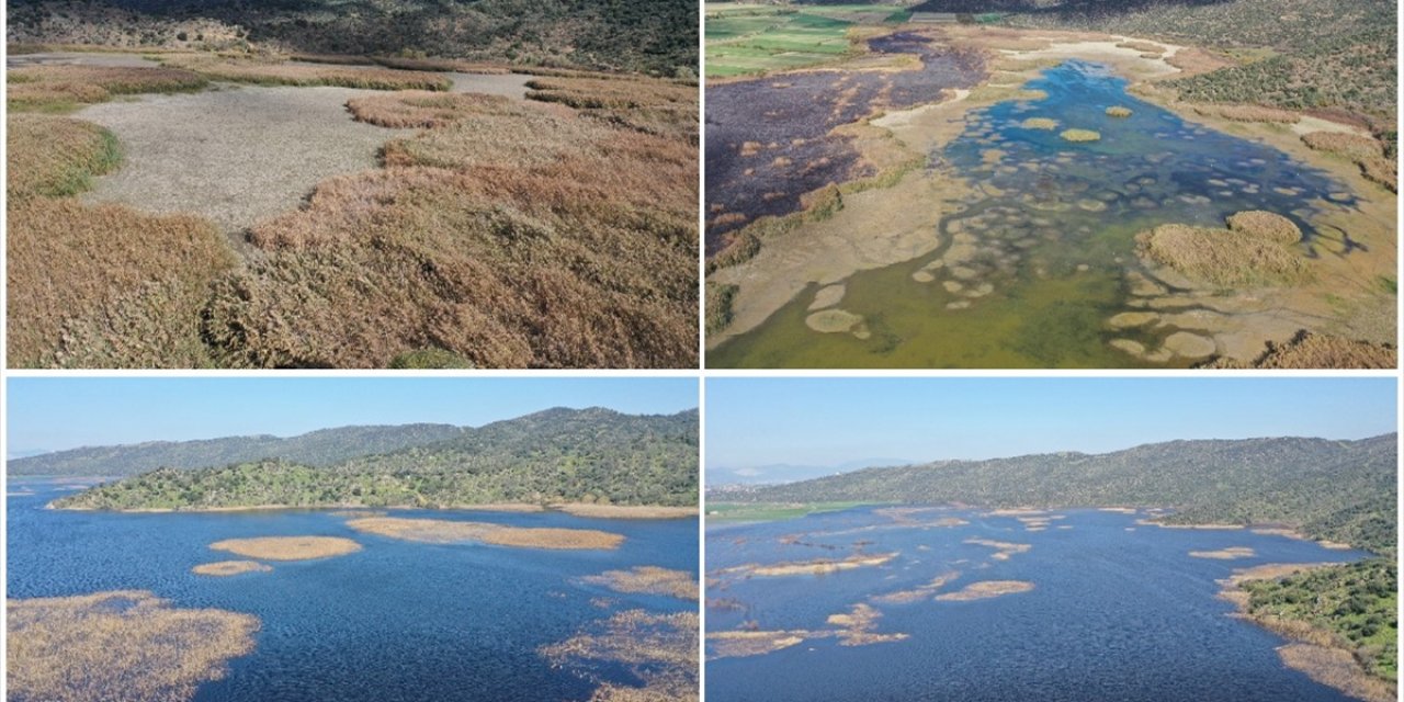 Kış Yağışları Aydın'daki Azap Gölü'ne Can Verdi