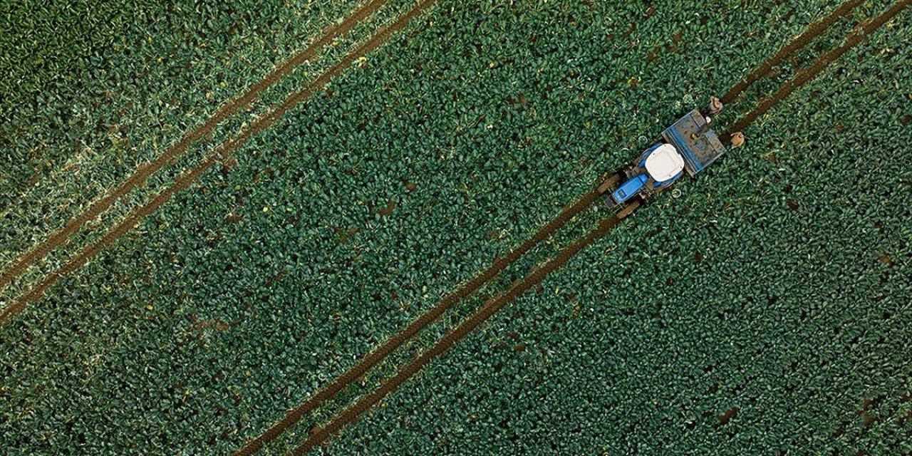 Son Dönem Yağışları Su Kaynaklarına Ve Tarımsal Üretime Olumlu Yansıdı