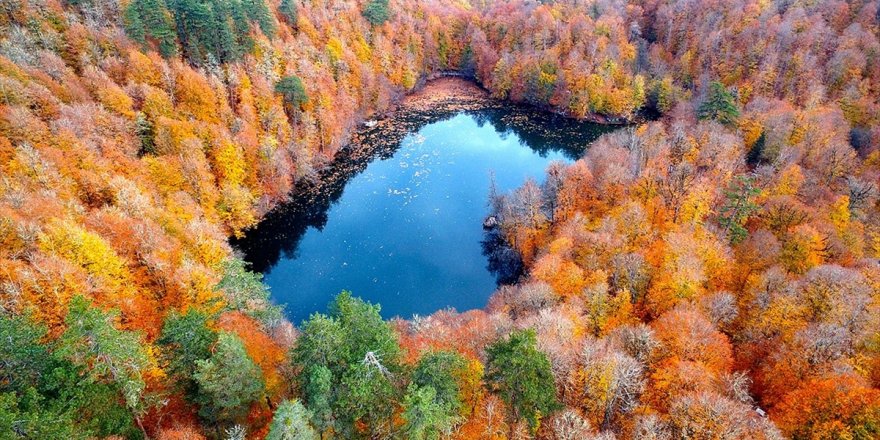 Türkiye'de 3,2 Milyon Hektar Alana 'Özel Statülü' Koruma