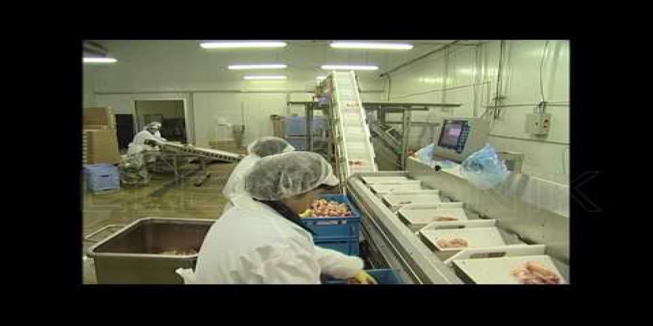 Gedik Piliç "Map" Teknolojisiyle Gıda Güvenliğini Artırıyor