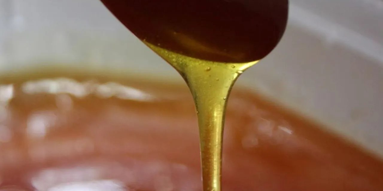 Ordu'da Yaklaşık 15 Ton Sahte Bal Ele Geçirildi!