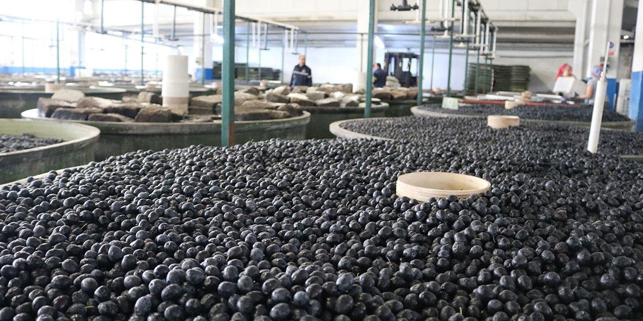 Marmarabirlik'ten 2025'te 35 Milyon Dolarlık İhracat