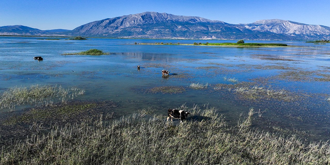 Tarımsal Faaliyetlerle Bozulan Turbalıklar Yılda 2 Milyar Ton Karbon Salıyor