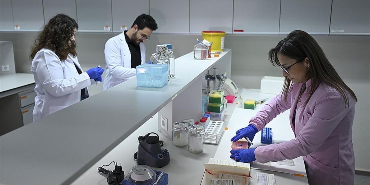 Türk Araştırmacılar, Kanser Tedavisinde Yan Etkileri Azaltacak Çalışmaya Öncülük Edecek