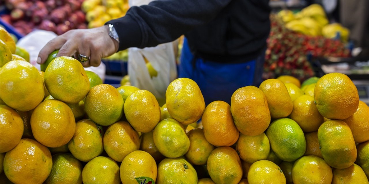 Tarım, Gıda Ve İçecek Sektöründen Yılın İlk Ayında 2,4 Milyar Dolarlık İhracat