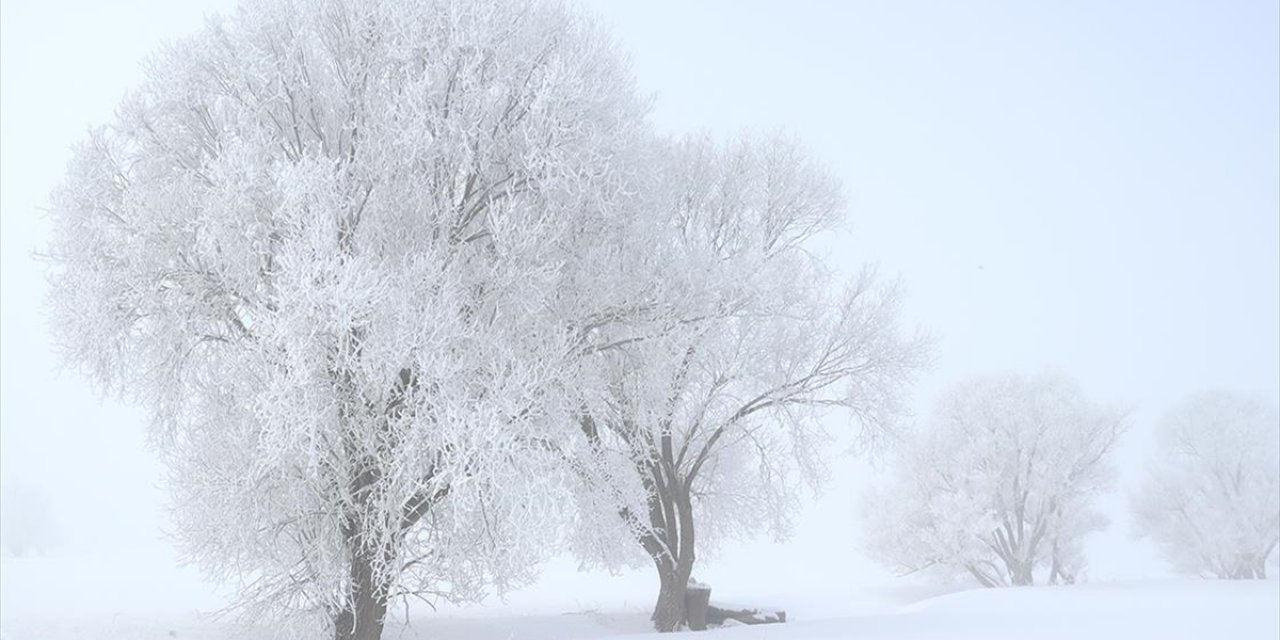 Erzurum, Ardahan, Kars ve Ağrı'da Dondurucu Soğuk Hava Etkili Oluyor