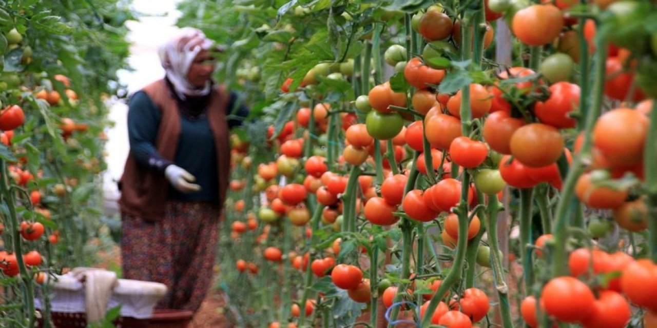 Vurgunu Açıkladı: 10 Liraya Alıp 5 Katına Satıyorlar!