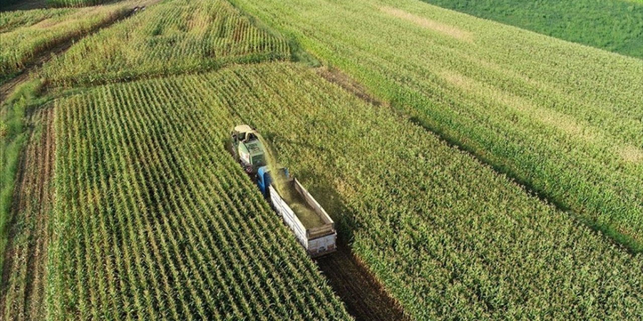 Kırsalda Kalkınma 3 Yılda Yaklaşık 65,5 Milyar Liralık Yatırımla Desteklenecek