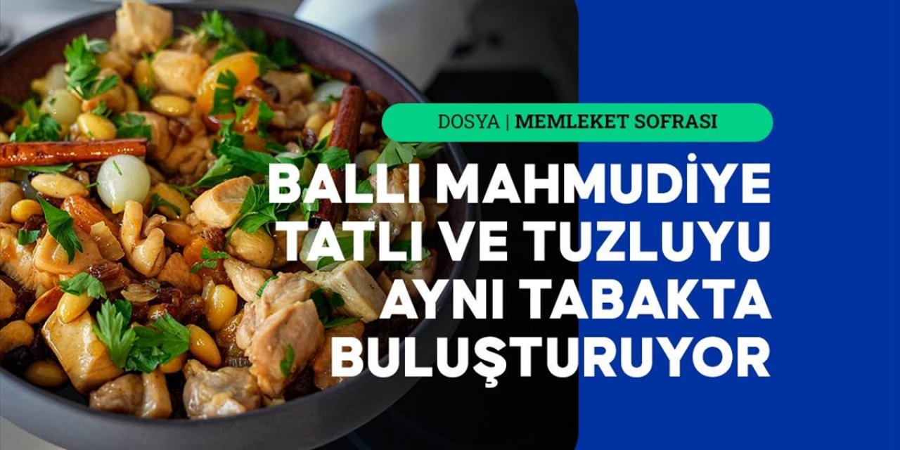 Ballı Mahmudiye