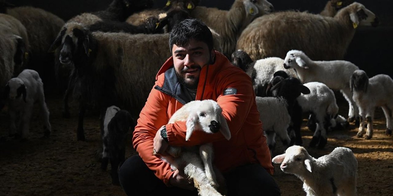 Üniversiteli Genç, Devlet Desteğiyle Başladığı Hayvancılıkta Söz Sahibi Olmak İstiyor