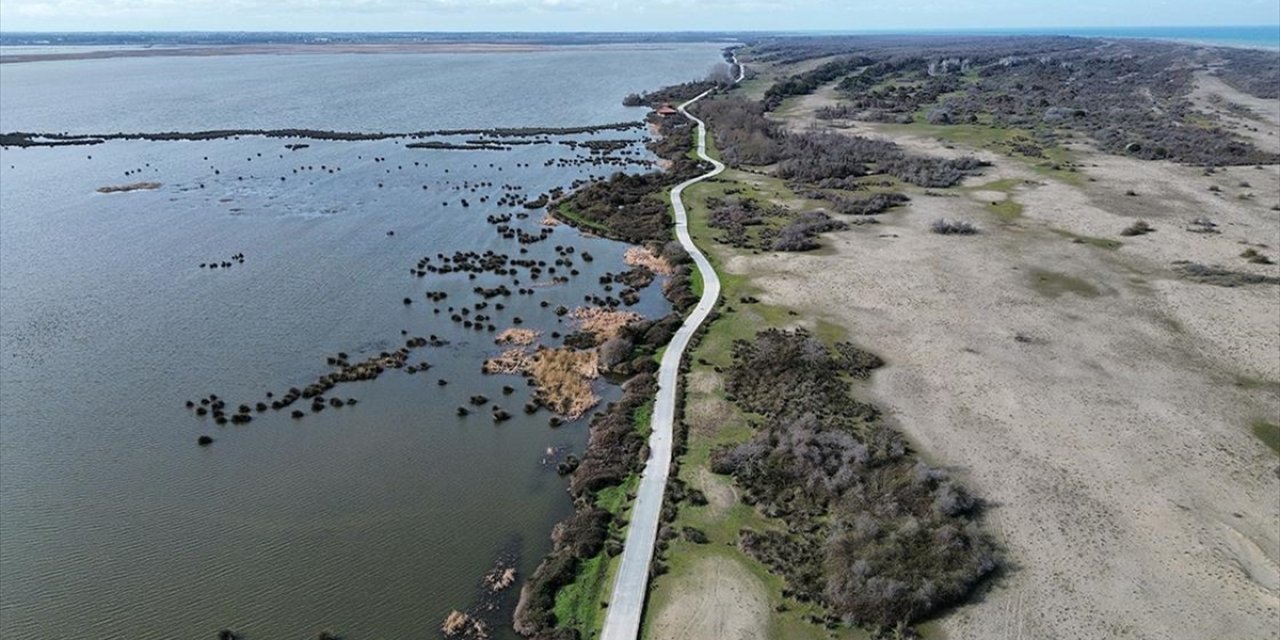 Unesco Listesindeki Kızılırmak Deltası Su Seviyesinin Artmasıyla Canlanmaya Başladı