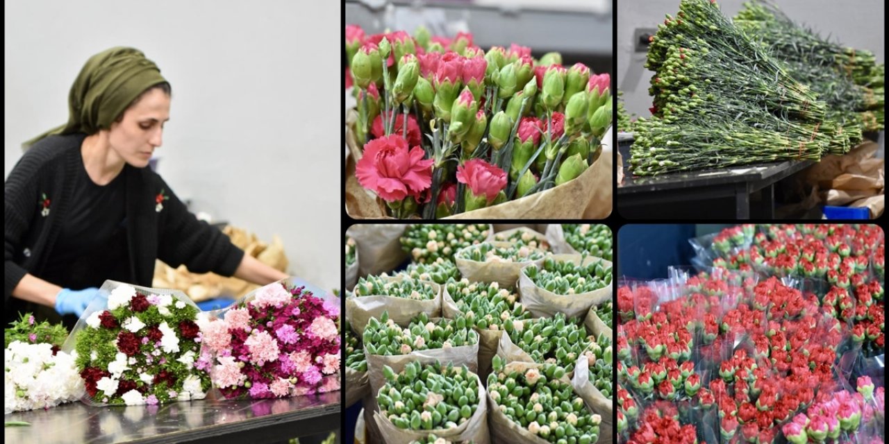 Türkiye'den Dünya Kadınlar Günü İçin 35 Ülkeye 80 Milyon Dal Çiçek
