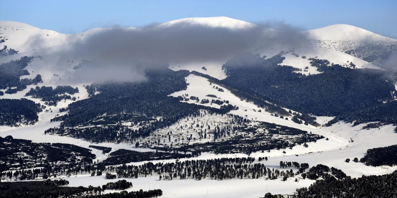 Kars'ta Beyaza Bürünen Sarıçam Ormanları Dronla Görüntülendi