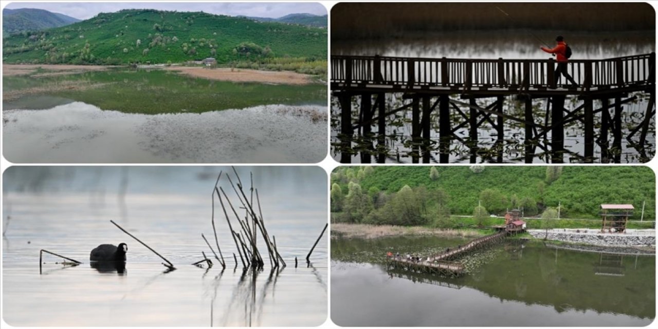 Eriyen Kar Sularıyla Doyan Efteni Kuş Cenneti Gölü, Göç Yolundaki Misafirlerini Ağırlıyor