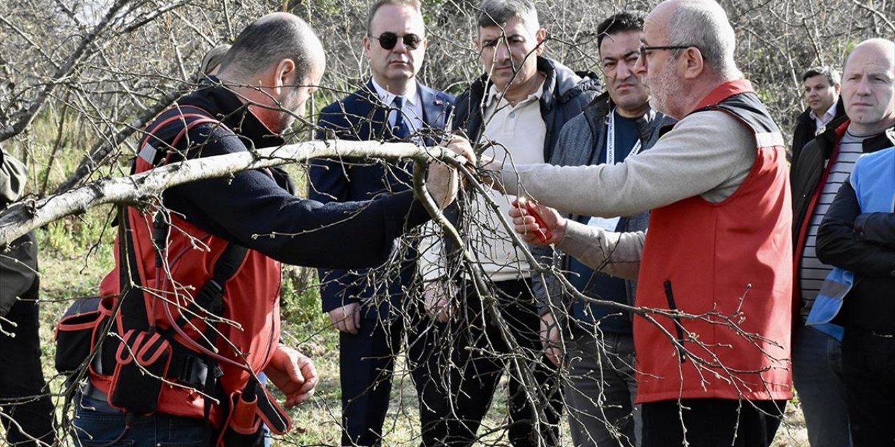 Yükümlüler Fındıkta Verimin Artması İçin Aldıkları Eğitimle Üretime Katkı Sunacak