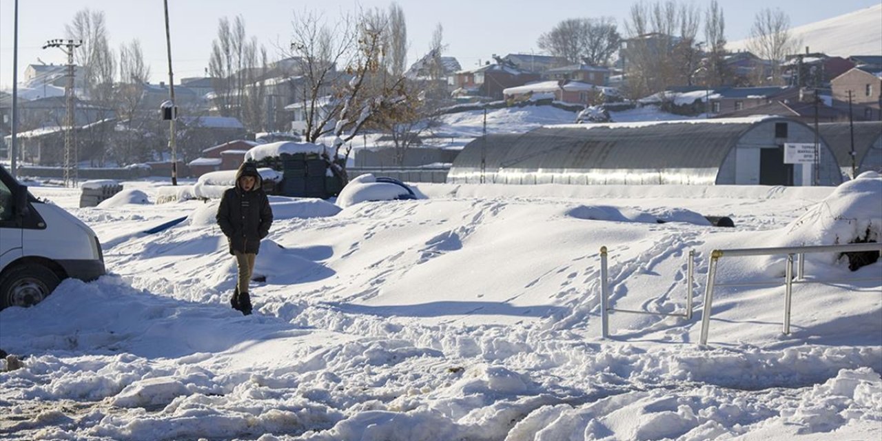 Kars'ta Sulak Alanlar Dondu, Bitki ve Ağaçlar Kırağı Tuttu