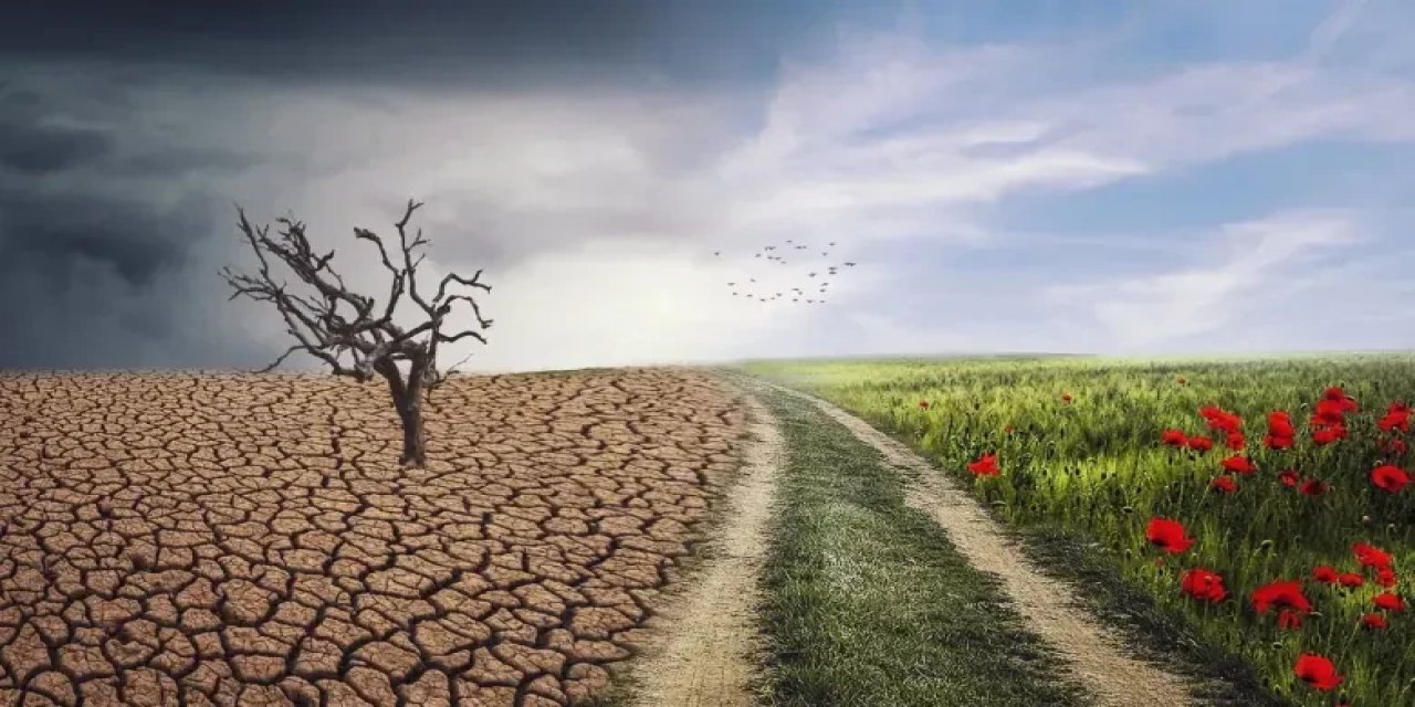 Grafikli - İklim Krizinin Neden Olacağı Mera Kaybı On Milyonlarca Çobanı İşsiz Bırakabilir