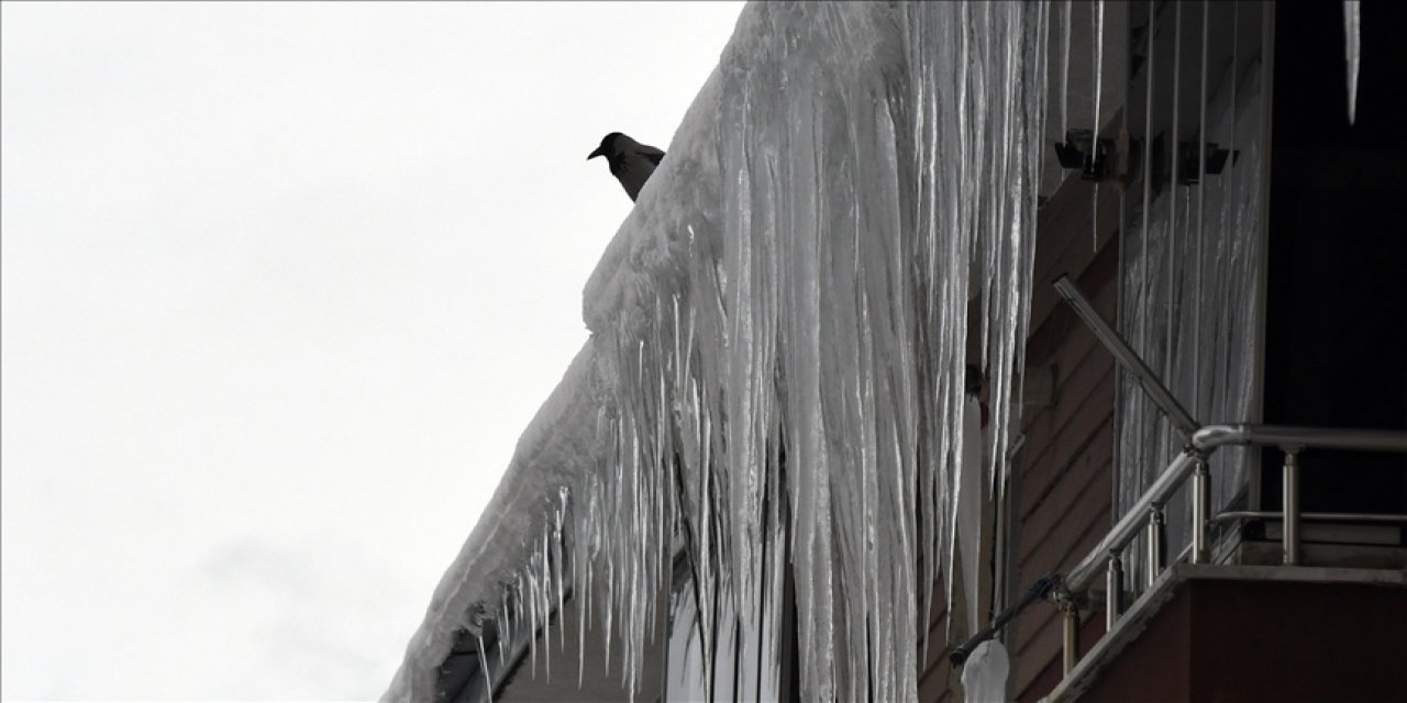 Doğu Anadolu'da Kar İle Soğuk Hava Etkili Oluyor