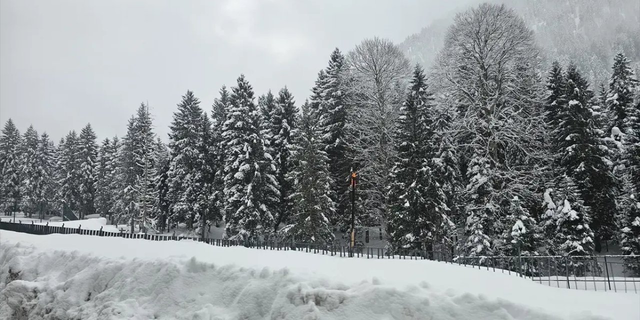 Rize ve Ordu'da Kar Etkili Oldu