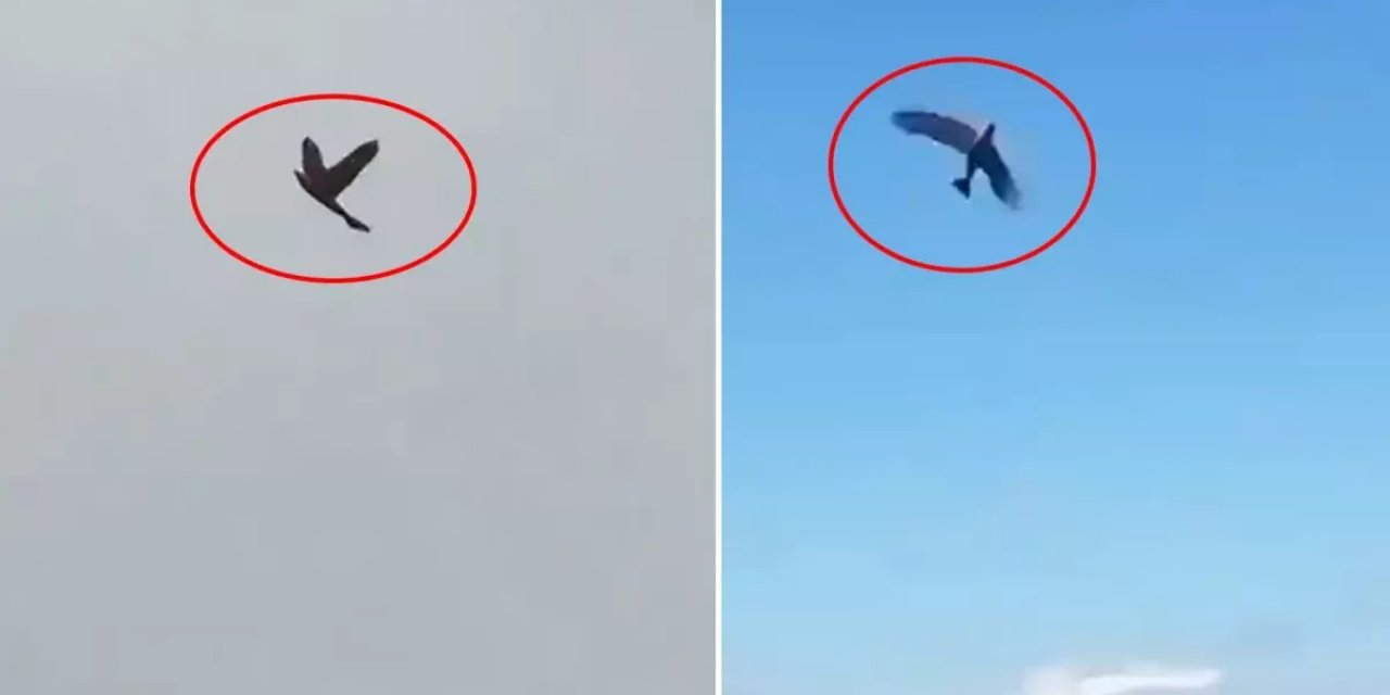 ABD'nin Kabusu Olacak! Hepsiyle Savaşmak Zorunda Kalabilirler