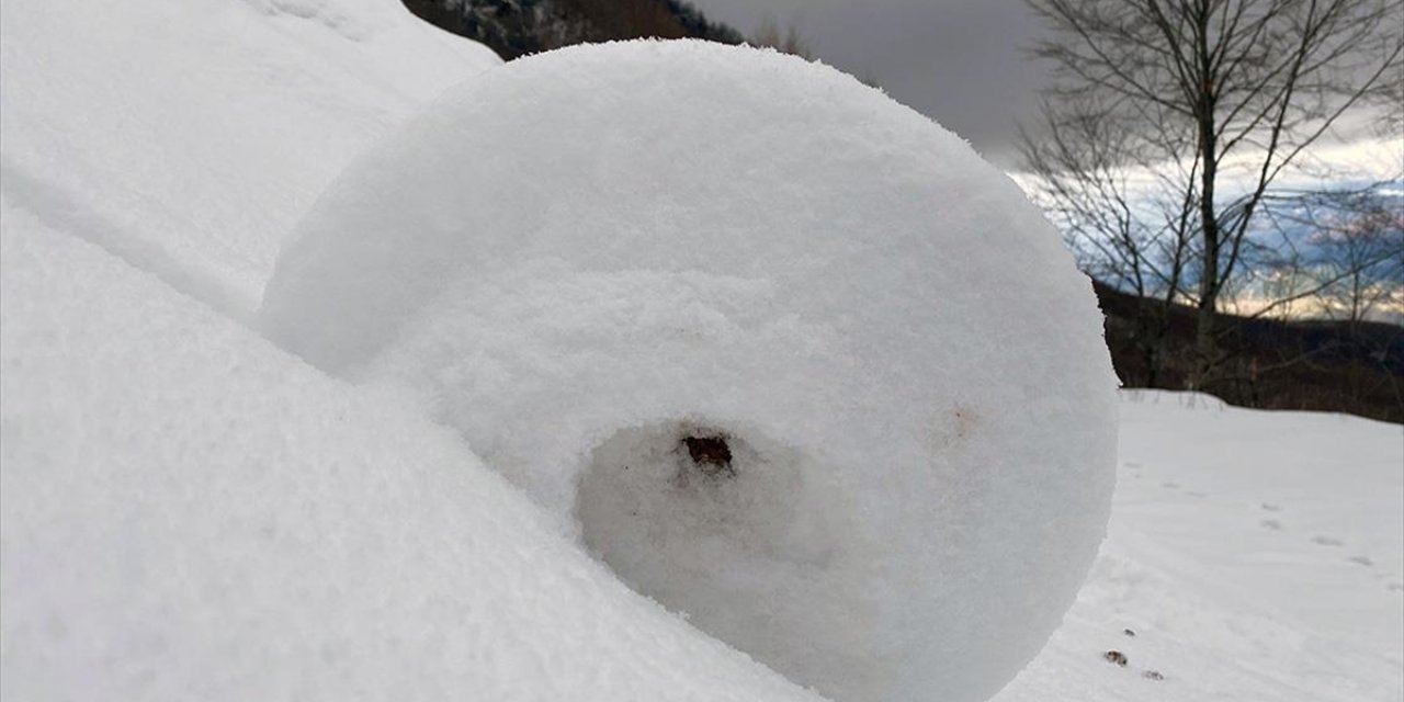 Amasya'da Doğada Ender Oluşan Kar Ruloları Görüntülendi