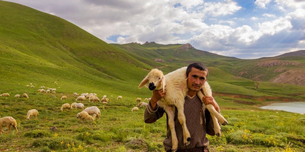 İklim Krizi On Milyonlarca Çobanı İşsiz Bırakabilir