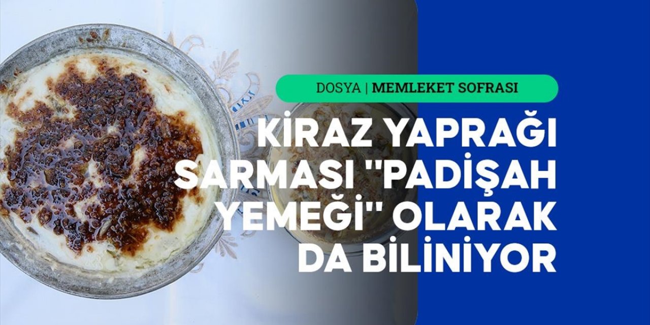Kiraz Yaprağı Sarması