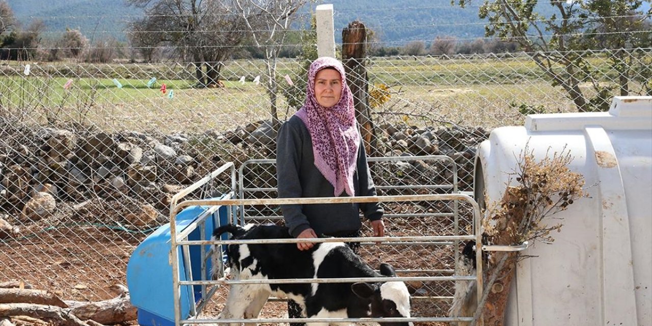 Denizli'de Kadın Girişimci Devlet Desteğiyle Hayal Ettiği Çiftliği Kurdu