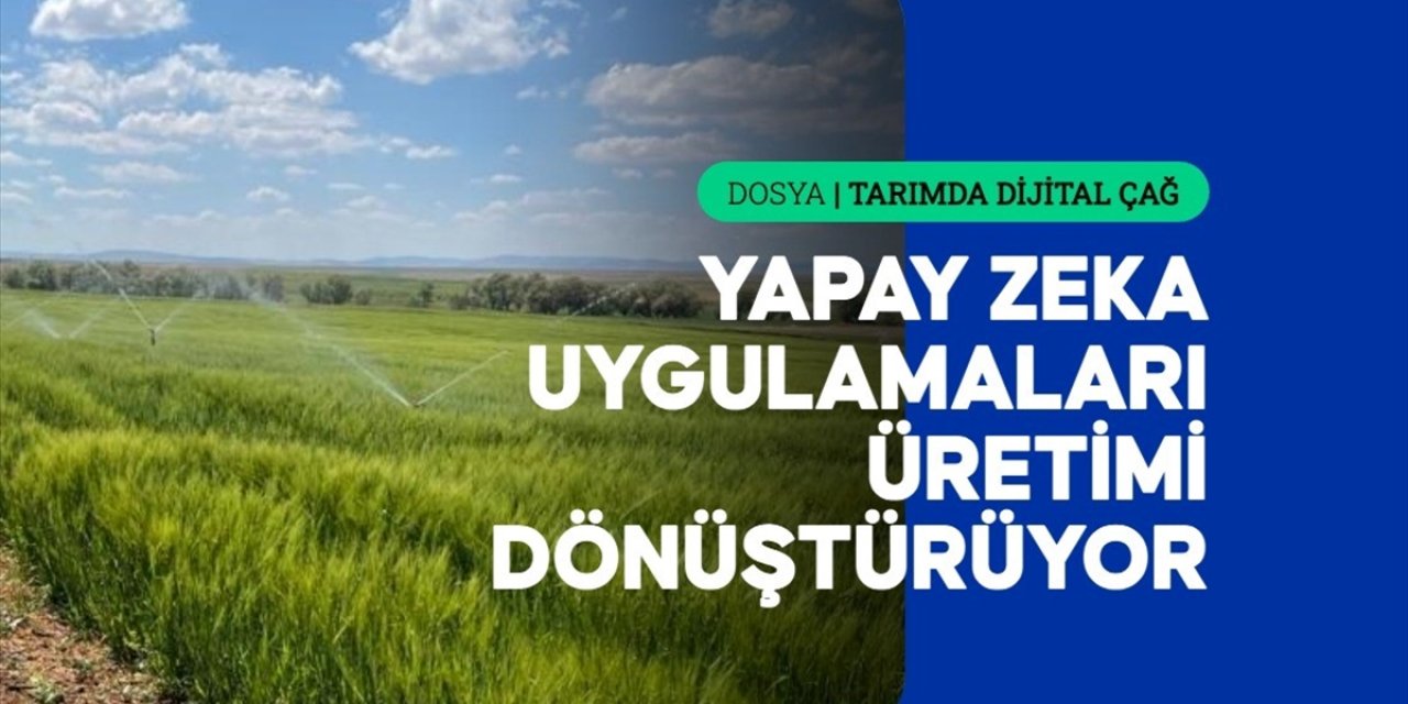 Yapay Zeka Tarımda Yatırım Kararlarını Şekillendiriyor