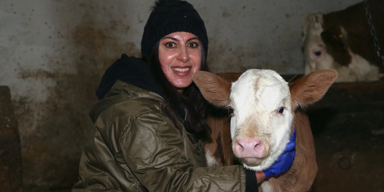 Devlet Desteğiyle Besi Çiftliği Kuran Girişimci Kadın Hayvan Sayısını Artırmayı Hedefliyor