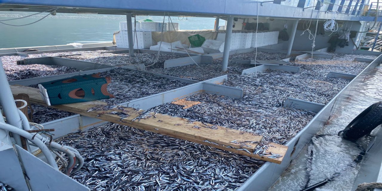 Rize'de İstavrit Ve Hamsinin Kilogramı 100 Liradan Satıldı