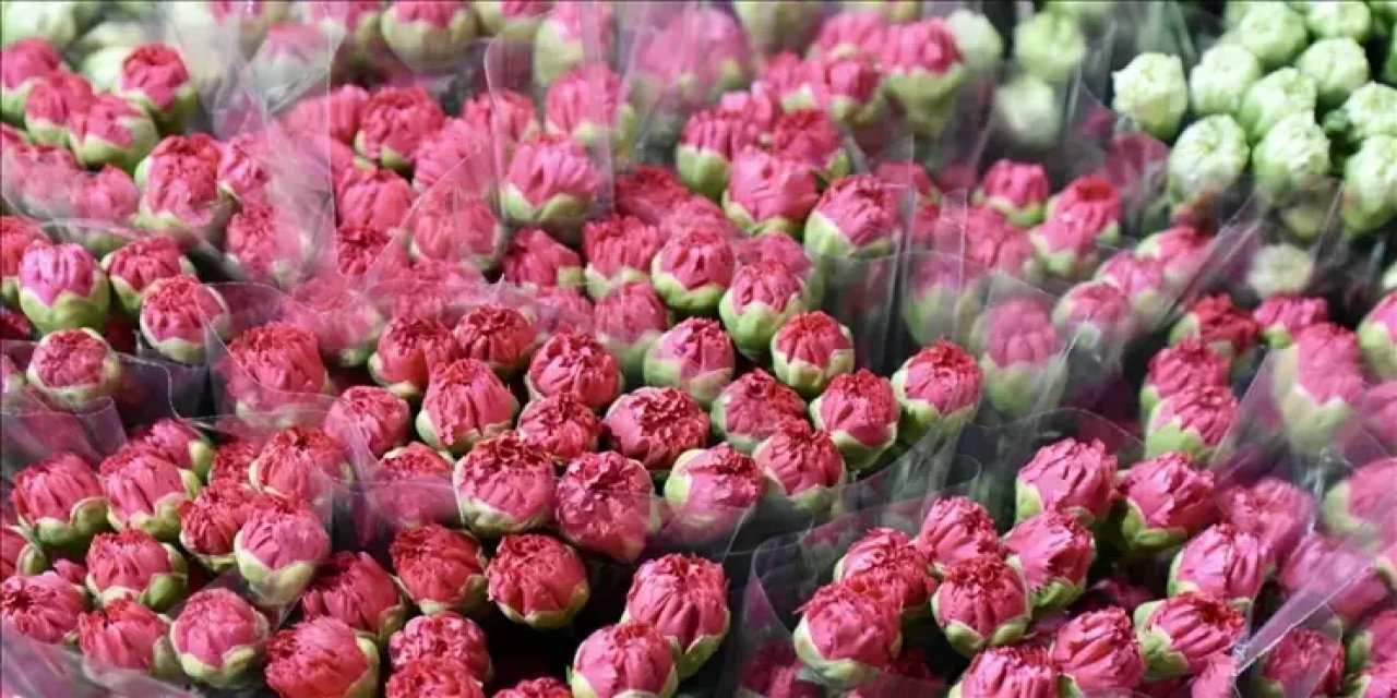 İngiltere’de Anneler Günü İçin Türk Çiçekleri Yola Çıktı