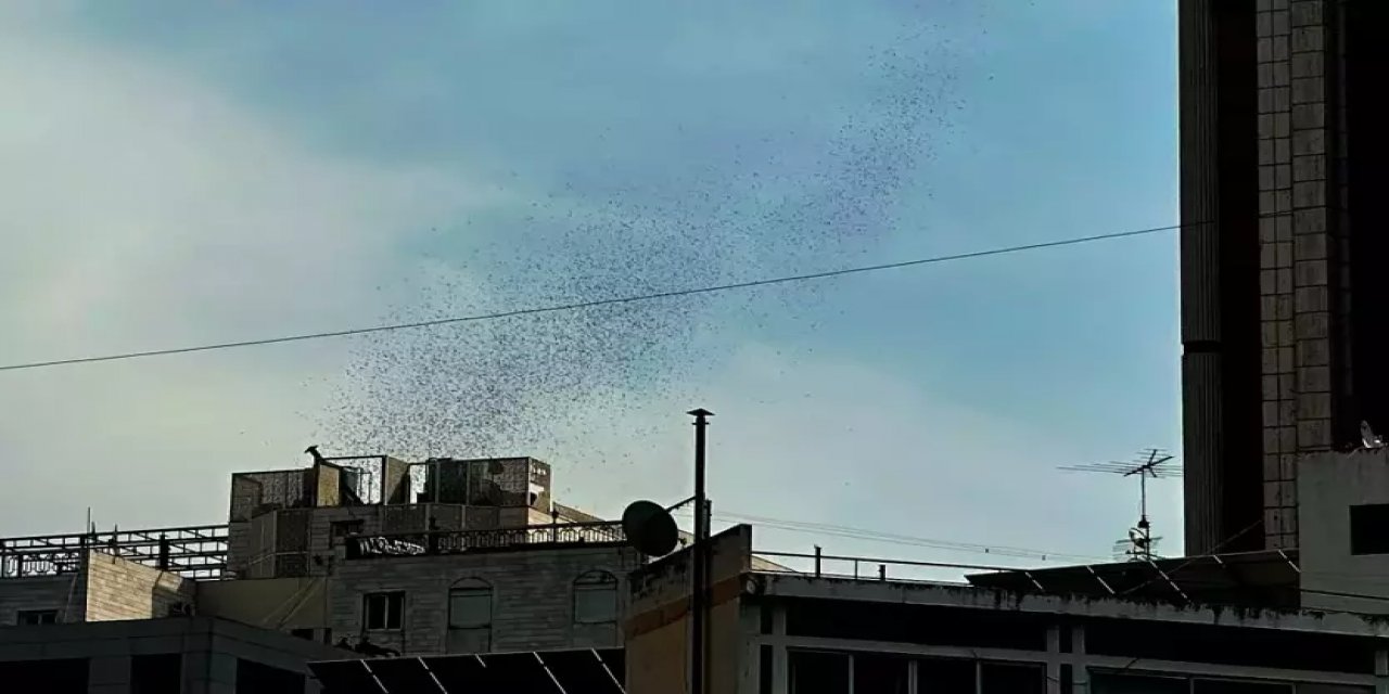 İsrail’in Birim 504'ü Yine İş Başında! Beyrut’a Gökyüzünden Bunları Bıraktılar  Uyarı Geldi: Sakın Okutmayın, Qr Kodlu Tuzak!