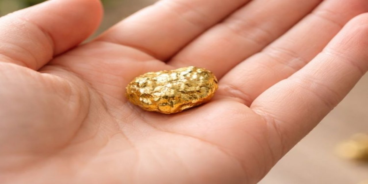 Çoğu Kişi Çöpe Atıyor Ama İçinde 22 Ayar Altın Var
