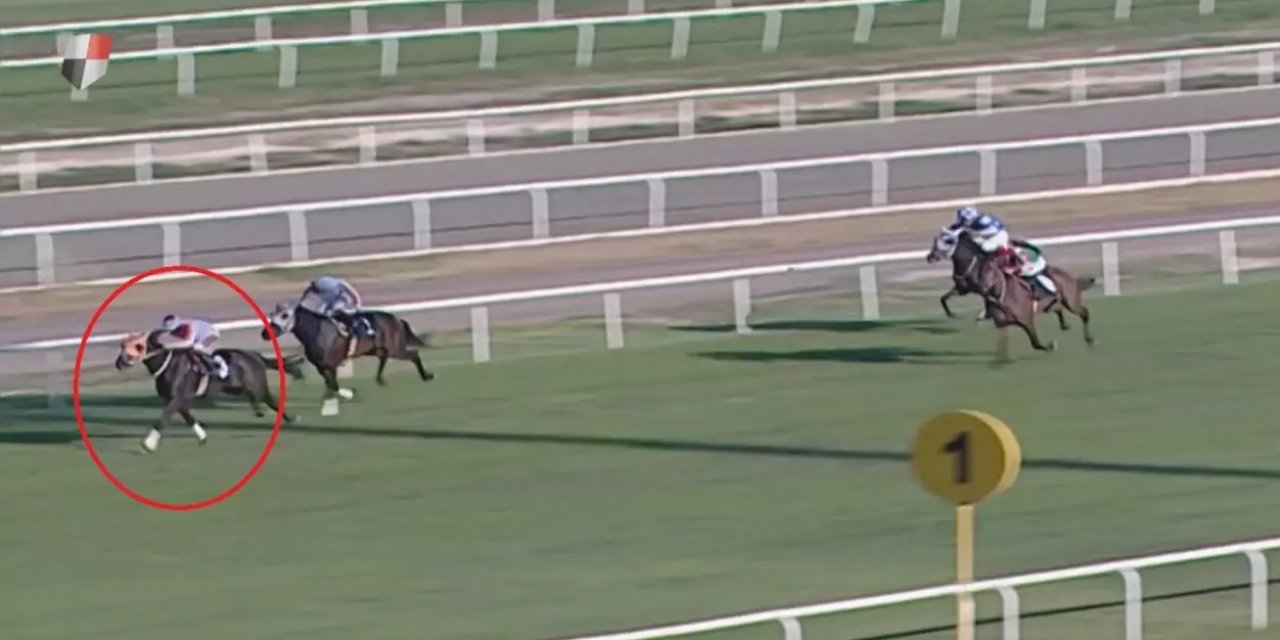 Kavurma Yapılan Atın Sahibine De Ceza! Sorumsuzluğu Affedilmedi