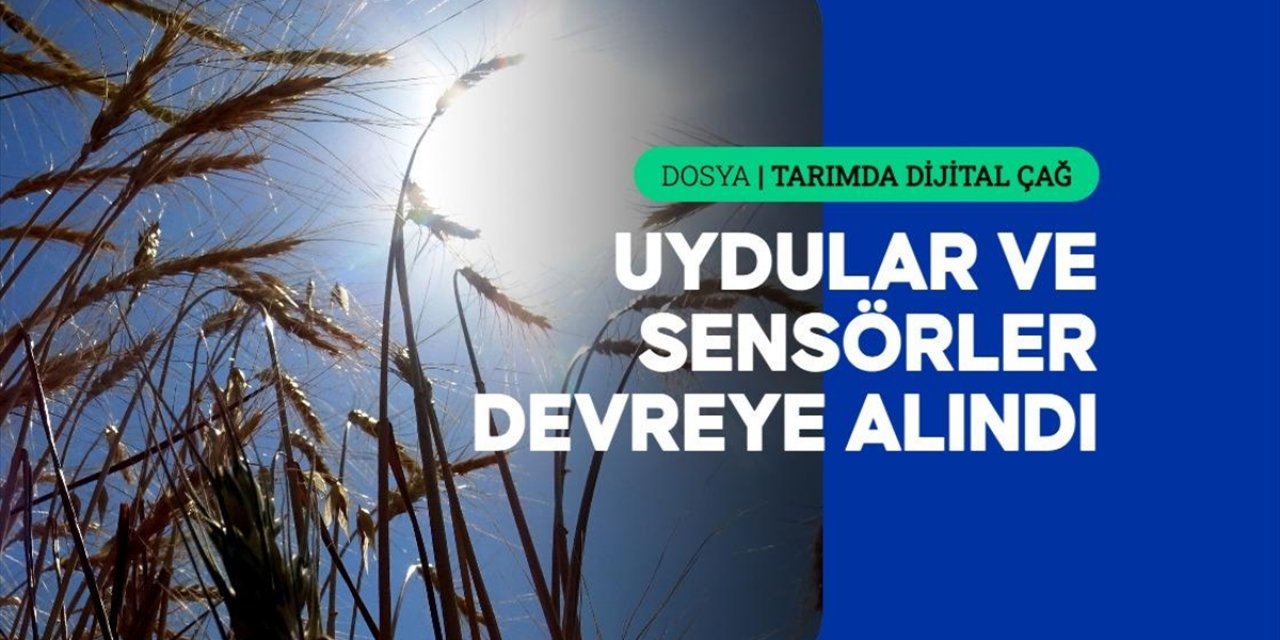 AB'de Tarımsal Faaliyetler, Akıllı Tarım Ve Dijital Teknolojilerle Yeniden Şekilleniyor