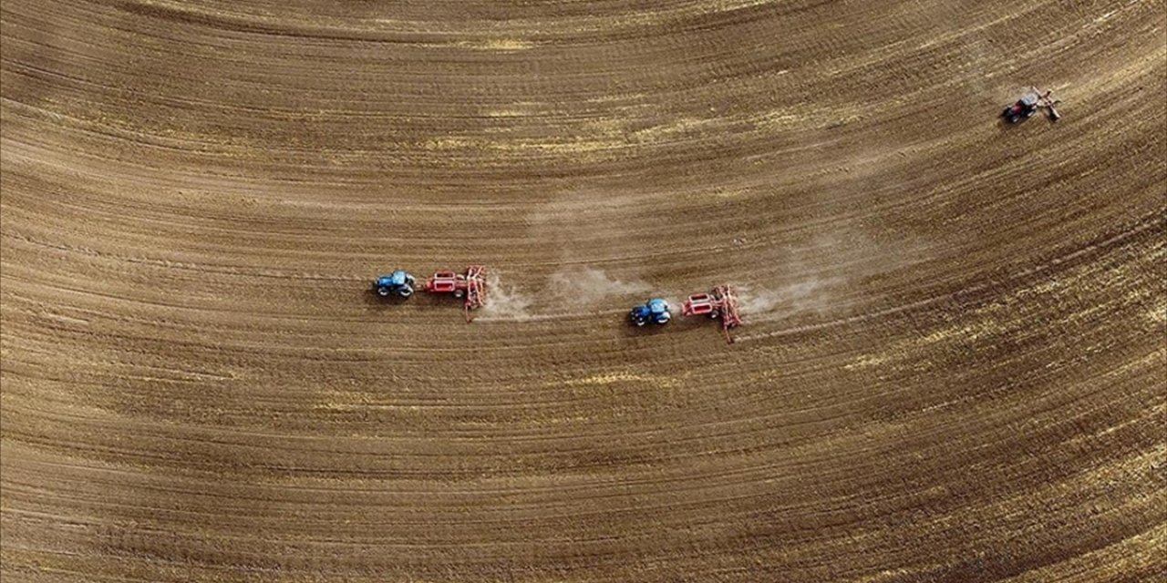 Türkiye Genelindeki Tarım Sayımında Sona Yaklaşıldı