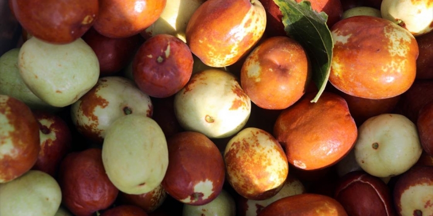 Hünnap Üretimin Artırılması Hedefleniyor